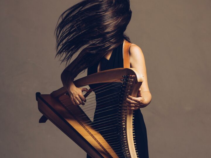 Fanny Roz, harpeuse rock et engagée